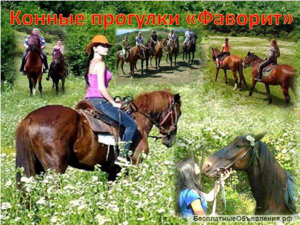 Робота на конюшне