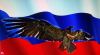 Охранный Холдинг предоставляет Свои Услуги