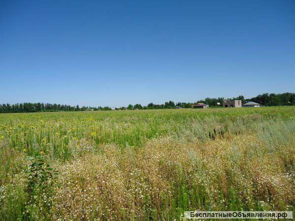 Земельный участок