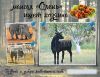 Мангал олень