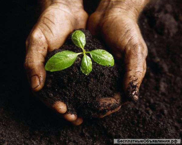 Плодородный грунт с доставкой от 13500 руб