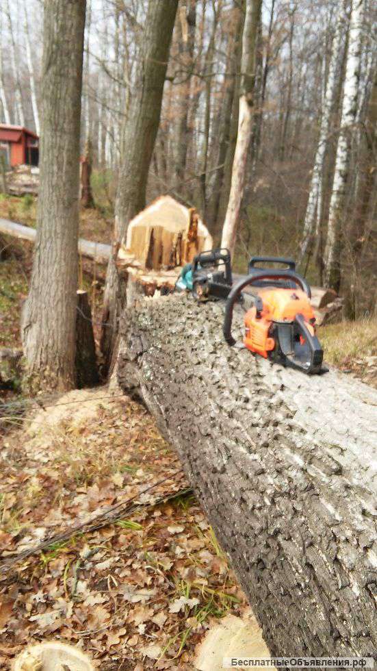 Удаление опасных(аварийных) деревьев