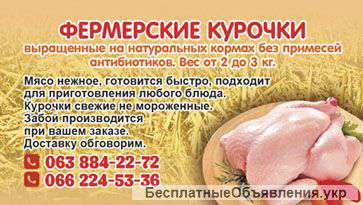 Фермерский бройлер Высший сорт и качество