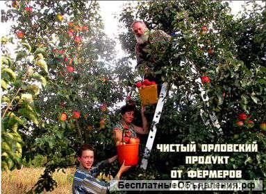 Прививка, подрезка деревев