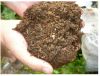 Торф в мешках недорого