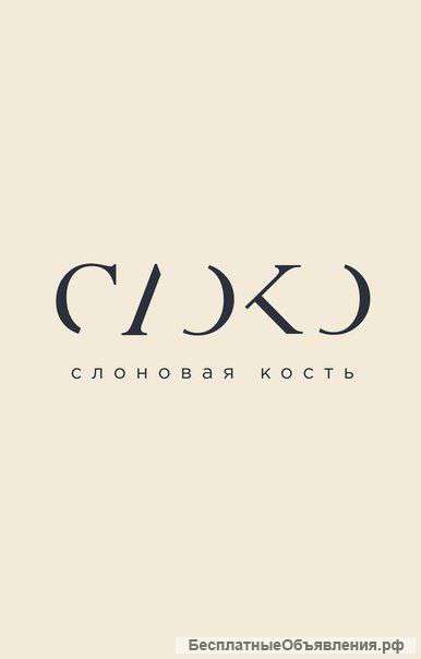 Организатор/координатор мероприятий