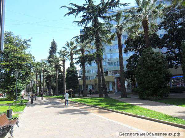 Квартира в субтропиках