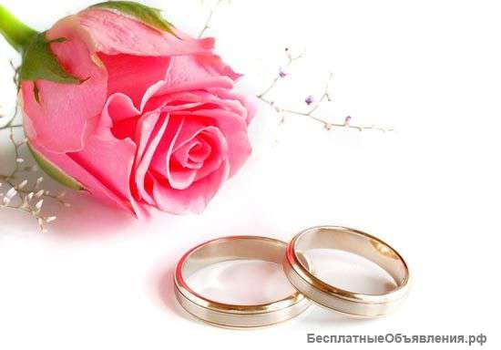 Свадьба. Видеооператор. Видеосъёмка.