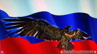 Охранный Холдинг предоставляет Свои Услуги