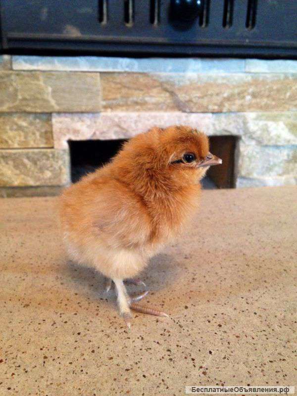 Нужна помощь