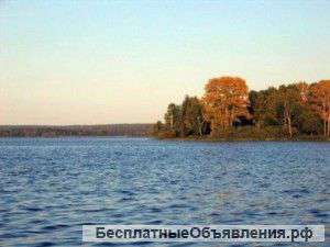 Участок 6 соток в д. Мошницы