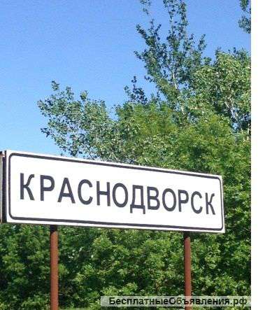 У леса на опушке