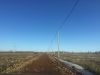 Участок 10 соток в д. Морозово