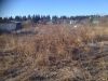 Участок 7 соток
