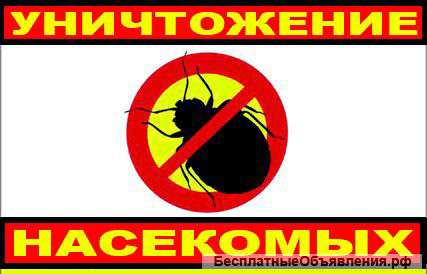 Уничтожение насекомых и грызунов
