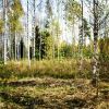 Участок садоводства