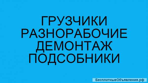 Разнорабочие