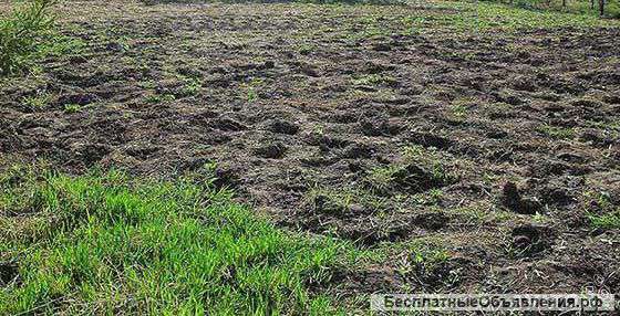 Участок 15 сот., земли поселений (ИЖС), 35 км до города