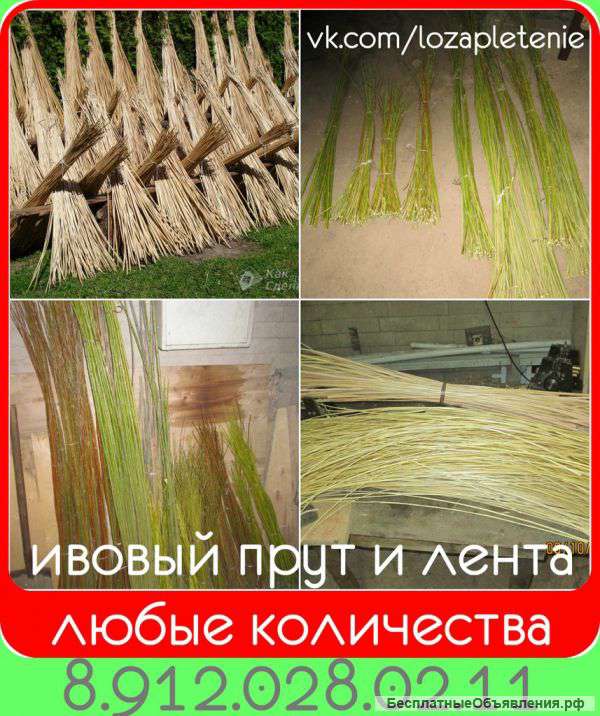 Ивовый прут (лоза) под заказ