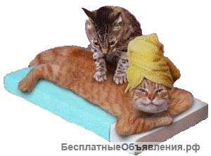 Массажный кабинет