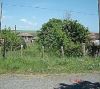 Участок в Болгарии 1110 м2 за 1600 €