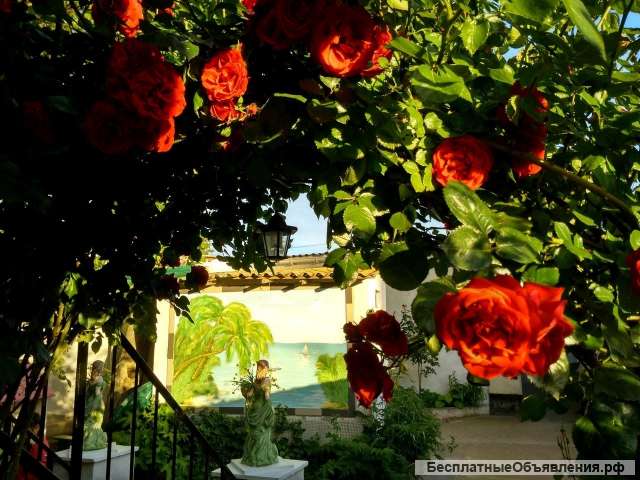 Крым. Отличный отдых у моря (от500руб счел.люкс) Частный отель«Настенька»пгт. Николаевка