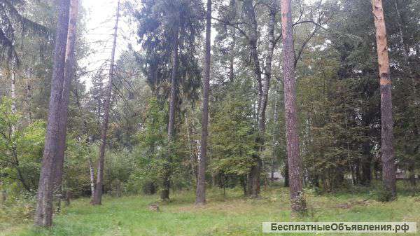 Земельный участок 3,55 га коммер.использования,Ленинград.напр.31 км