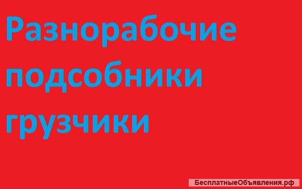 Разнорабочая бригада
