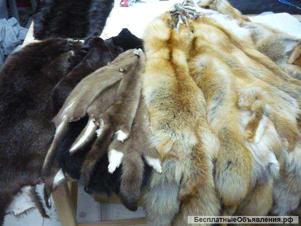 Меховое ателье EVA