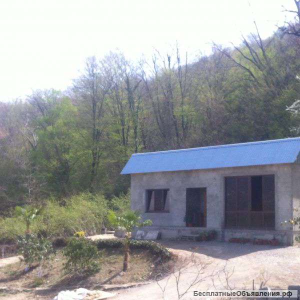 Лесные просторы