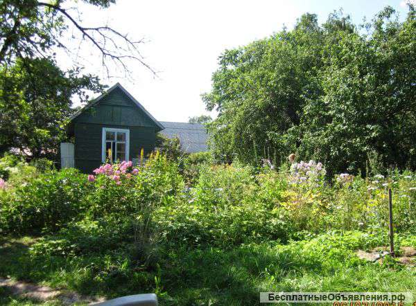 Дачу в Домодедово