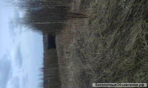 Участок 15 соток