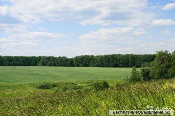 Участок 10 соток (СНТ,ДНП)