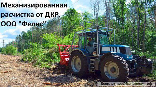 Мульчирование и расчистка от растительности. Валка деревьев и кустарника.