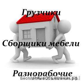 Опытные грузчики, сборщики