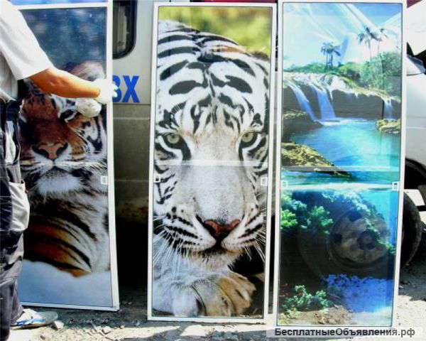 Антимскитные сетки на кна и двери