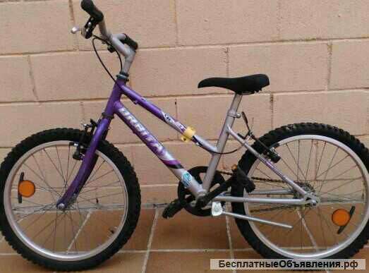 Отдам даром велик