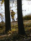 Вспашу огород в Тресвяцком