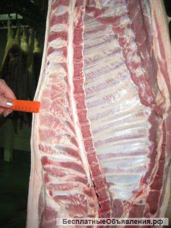 Свинина в п/т 1 кат