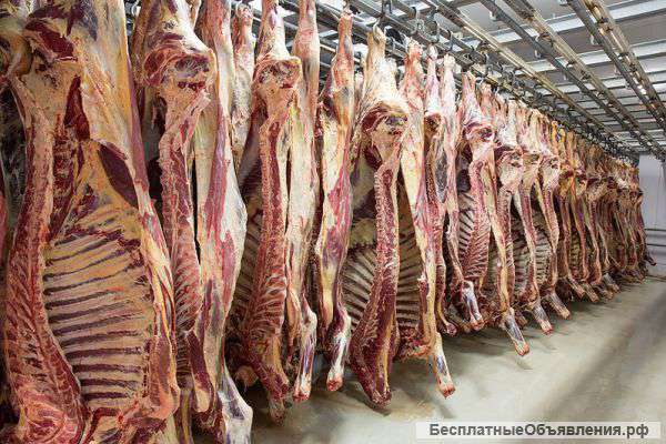 Говядина в п/т 1 кат коровняк