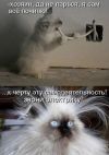 Электрика