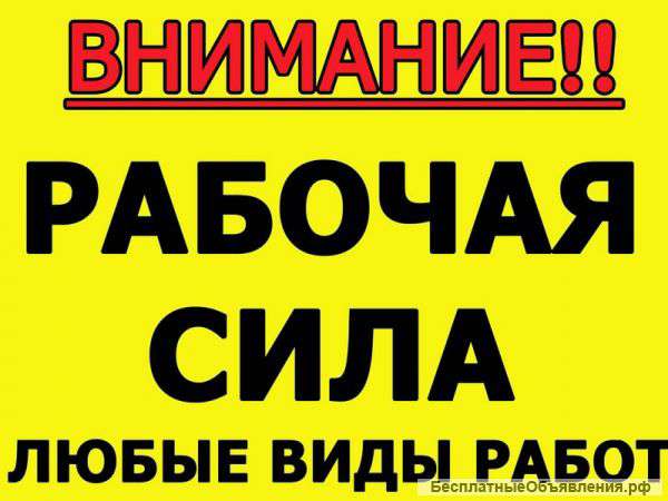 Грузчики Разнорабочие Строители
