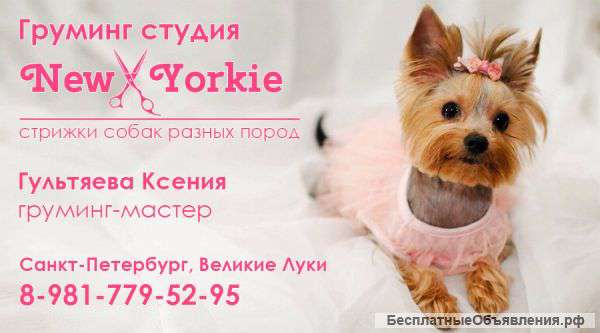 Груминг собак