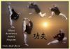 Школа боевых искусств Цюань шу приглашает на занятия кунг фу (ушу)