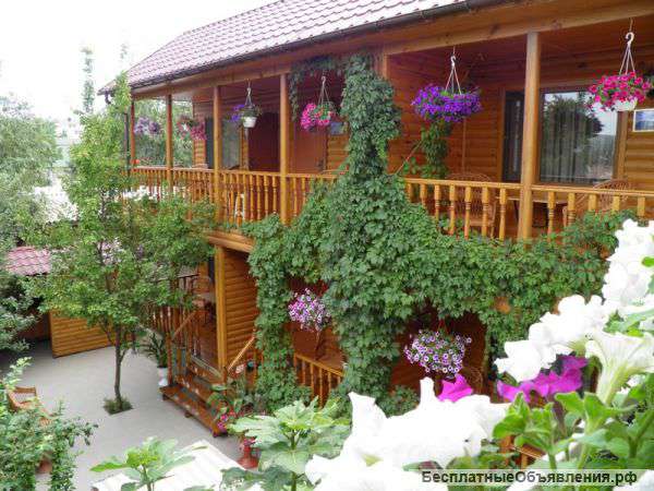 Отдых в Коктебеле