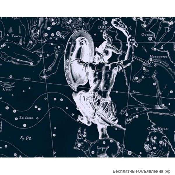 Системный администратор