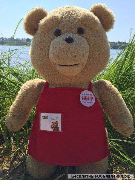 Плюшевый Мишка TED