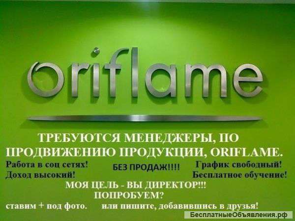 Ищу Директора в компанию