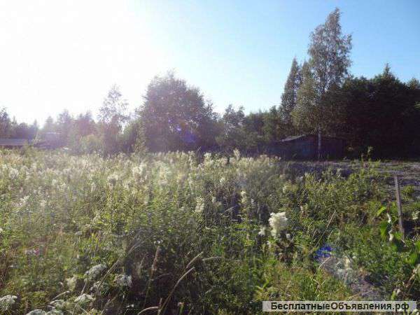 Участок 12 соток. Видно озеро, со старым домиком.