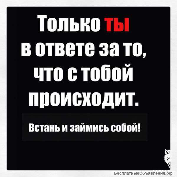 Фитнес в Новогиреево